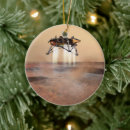 Search for mars christmas tree decorations Nasa