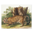 Search for felis art Vintage