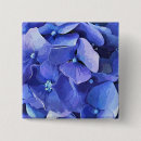 Search for blue hydrangeas badges Nature