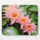 Search for clusters mousepads Photography