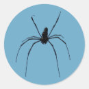 Search for spider stickers Wild