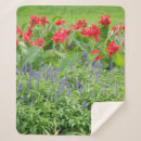 Search for photographer blankets Photography