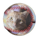 Search for based photography Pet