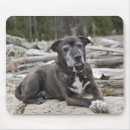 Search for bull dog mousepads Staffordshire