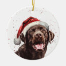 Search for family with dog christmas tree decorations For pets