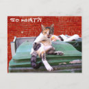 Search for strays postcards Stray cat