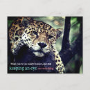 Search for jaguars postcards Wildlife