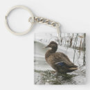 Search for wet key rings Drops