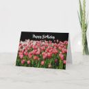 Search for tulips birthday cards Flora