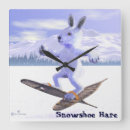 Search for hare clocks Nature