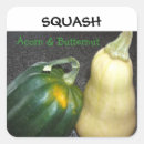 Search for squash stickers Vegetable