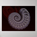 Search for ammonite posters Seashell