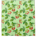Search for raspberry shower curtains Background