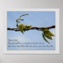 Search for 128 posters Bible