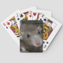 Search for rat playing cards Animal