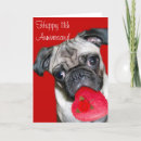 Search for 11th cards Dog