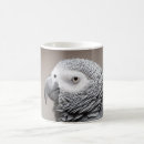 Search for congo mugs Parrot