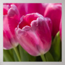 Search for brilliant art Floral