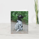Search for german shorthaired pointer dog cards Dogs