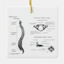 Search for spine christmas tree decorations Skeleton