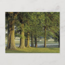 Search for lexington kentucky postcards Nature