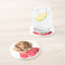 Search for dachshund coasters Animal