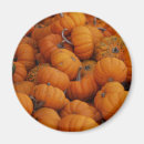 Search for fall holiday magnets Thanksgiving