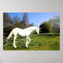 Search for beast posters Flowers