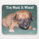 Search for chihuahua mousepads Funny