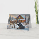 Search for newfoundland christmas cards Snow