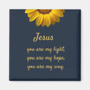 Search for navy designs magnets Abstract