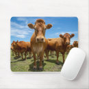 Search for beef electronics Livestock