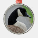 Search for canadian goose christmas tree decorations Geese