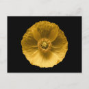 Search for yard postcards Blossom