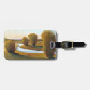 Search for afternoon accessories Landscapes