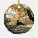 Search for birds of paradise christmas tree decorations Nature