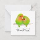 Search for parrot note cards Animal