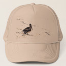 Search for seagull hats Wildlife