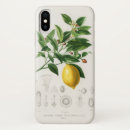 Search for fruit illustration iphone cases Lemon
