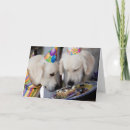 Search for golden retriever puppy birthday cards Happy
