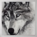 Search for black white wolf posters Nature