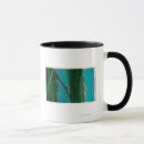 Search for interstate postcards Lantern