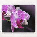 Search for pink orchid mousepads Flowers