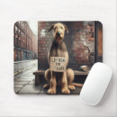 Search for beg electronics Dog
