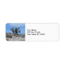 Search for desert return address labels Nature