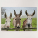 Search for humor puzzles Animal