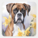 Search for daffodil flower stickers Watercolor