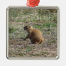 Search for prairie christmas tree decorations Wildlife