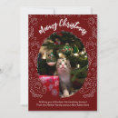 Search for meowy christmas cards Cute