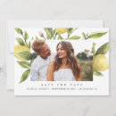 Search for charcoal grey postcards Foliage
